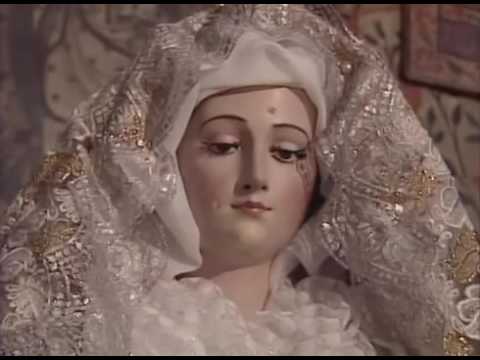 The Human Sexes by Desmond Morris (6 of 6)  The Gender Wars (1997)