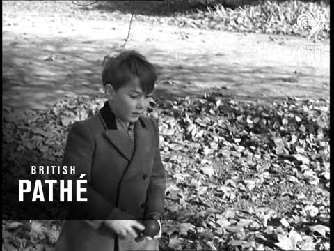 Prince William Of Gloucester (1947)