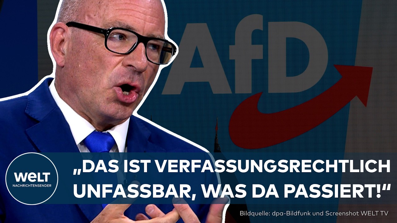 WAHLRECHTS-STREIT: „SO ABSURD!“ Staatsrechtler kritisiert AfD-Ausschluss!