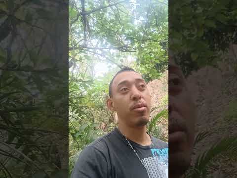 Previsão do Tempo: Paraíba Do Sul + Bom Jardim De Minas: MG