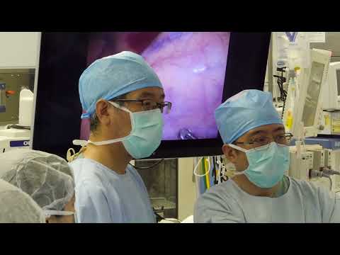 関西医科大学講座紹介　腎泌尿器科学　Department of Urology and Andrology, Kansai Medical University