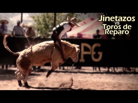 Bull Riding Compilation 03 - Addicted to Danger - The Best Female Riders and the Best Bulls