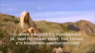 Sons of Korah Psalm 1