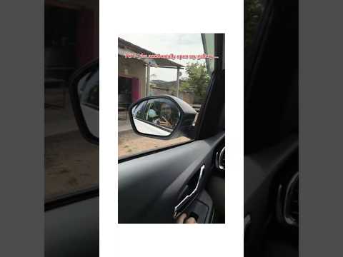 You accidentally open my gallery..✨ #viralvideo #shorts #reels #trending #photography #daily #viral