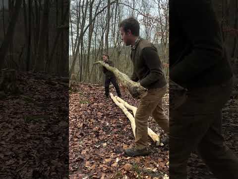 Millbank Bags & coffee in the woods