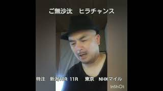 【特注競馬勝負の予感】　新潟大賞典　NHKマイルカップ　