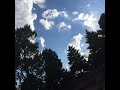 On This Day Earth Shall Ring - Devon Hollingsworth At Christ Church Of Oak Brook Illinois