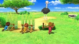 Wii Party U Minigame Showcase - Hide-and-Go-Beak