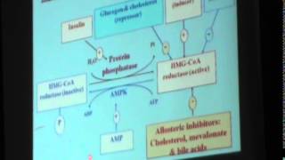 12) Dr. Marwa El Kaffas 16-12-2014 [Cholesterol Metabolism]