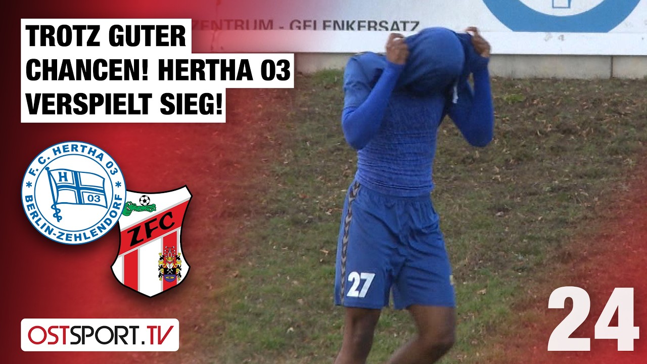 Hertha Zehlendorf vs Z Meuselwitz Highlights