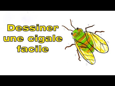 Comment dessiner une cigale facilement