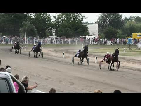 Trka "Dužijanca 2019-I kvalifikacija" 28.07.2019 Early Stardust - Dejan Petrović