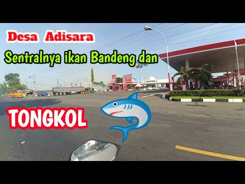 PESONA EBEG ADISARA