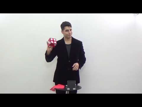 Tora Magic Zebra Dice and Silk