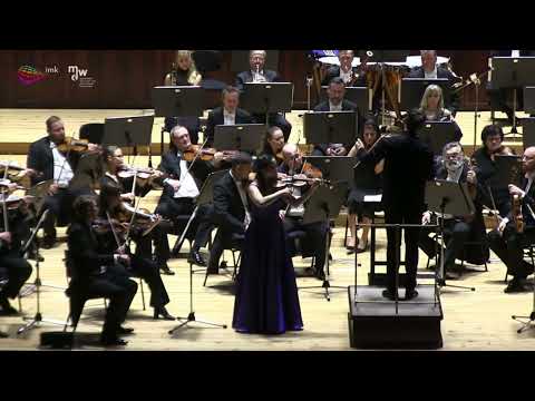 Johannes Beranek — Beethoven — Violin Concerto