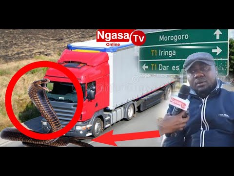 #Mkasa wa Dereva Lori aliyemkanyaga Nyoka Mlima Kitonga /Akumbwa na  tabu na Mateso.