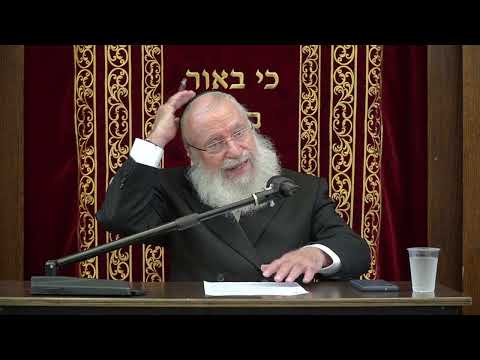 Do ‘Machshirin’ of Pikuach Nefesh & Wartime Override Shabbos | Weekly Shiur by Rav Asher Weiss