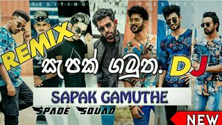 Sapak Gamutha  DJ Remix  Official Remix Video (ස
