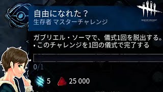 #308【DBD】7年間の伏線を回収する。【デッドバイデイライト】Dead by Daylight【ゲーム実況】
