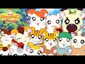 Why Did Hamtaro Not Become Popular In America Patreon Question