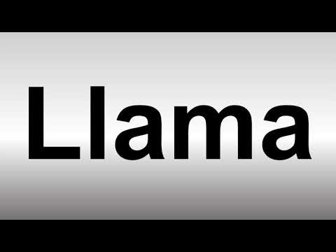 How to Pronounce Llama