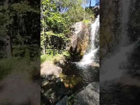 Kanadaskogen | Fyllingsdalen | Bergen