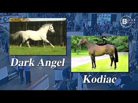 Tattersalls October Yearling Sale Book 1 Catalogue Preview 2017