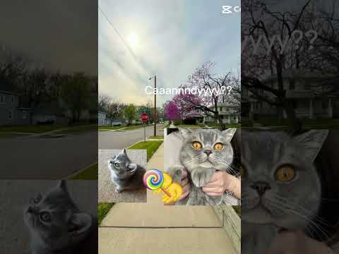 Hell yeahhhh 🦅🦅🦅🦅