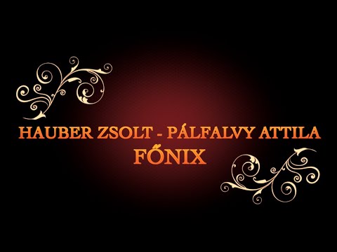 Hauber Zsolt - Pálfalvy Attila: Főnix (Official Music video) #synthpop #magyarzene #fonix
