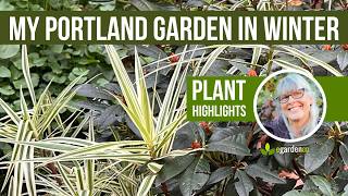 Winter Garden Highlights January 2026 (Portland, OR Zone 8b)