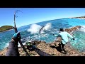 Giant Fish Eats Lure Fishing Camping With Cavy