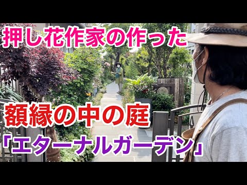 小さな壁に囲まれた庭園 – 限られたスペースに適したデザイン  庭園