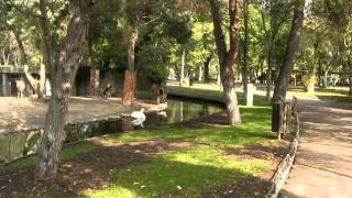 fotos con no entiendo el solfeo