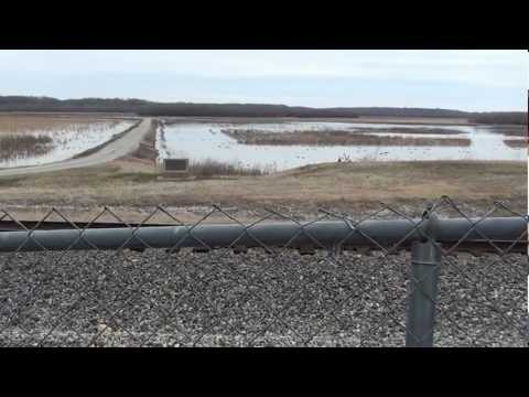 Ducks on Lauderdale Refuge