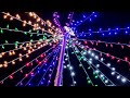 The Best Way To Build A Flagpole Christmas Tree The 8 Strand Tree 4 66ft LEDs