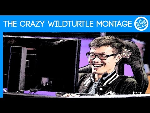 The Crazy WildTurtle Montage