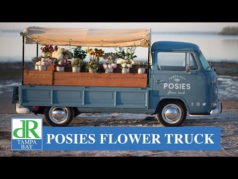 download lagu mp3 mp4 Tampa Bay Florist, download lagu Tampa Bay Florist gratis, unduh video klip Tampa Bay Florist