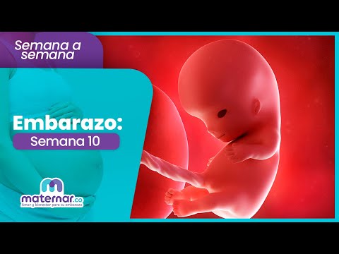 Semana 10 de embarazo: ¿Qué cambios ocurren? | Maternar.co
