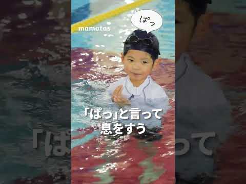 piscine-jardin-forme-rectangulaire-vue-mer-palmier-touche-exotisme