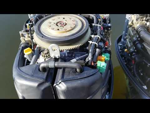 225/200  Yamaha outboard fuel issues replace this filter and your problem will disappear