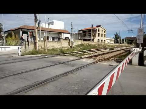 Transito IC 710 Taranto-Roma Termini