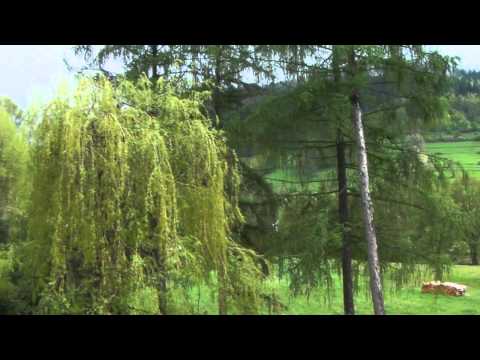 Ośrodek wypoczynkowy "Cisówka" Łomnica Zdrój