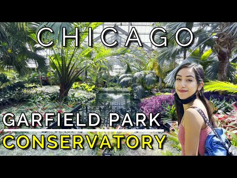 image-Is the Garfield Park Conservatory safe?