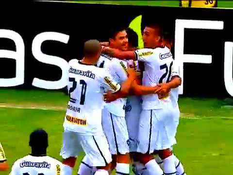 Bolívar Amazing Goal - Botafogo 2 - 0 Friburguense