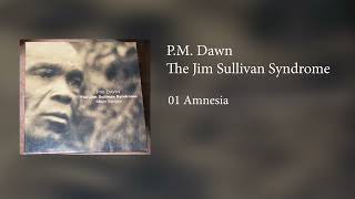 P.M. Dawn - Amnesia