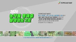 2020년 농작물 병해충 발생정보 2호 발표