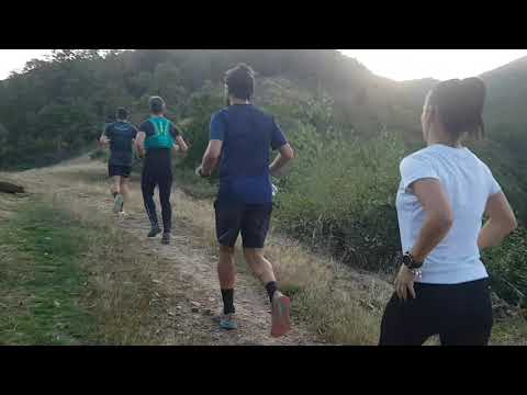 Tărcăița - Running Day