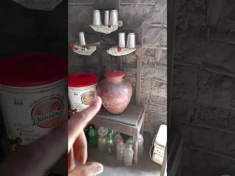 Você sabe o que é uma Bileira?