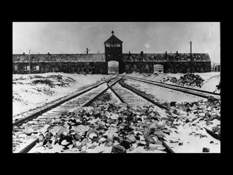 Frankfurter Auschwitz-Prozess Zeuge Helmut Bartsch 26. Verhandlungstag 13.03.1964