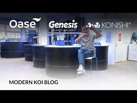 Modern Koi Blog #5929 - How high does the water level rise in biofilters during gravity operation?